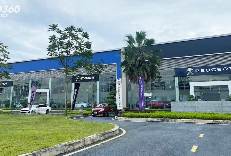 Mazda Yên Lạc