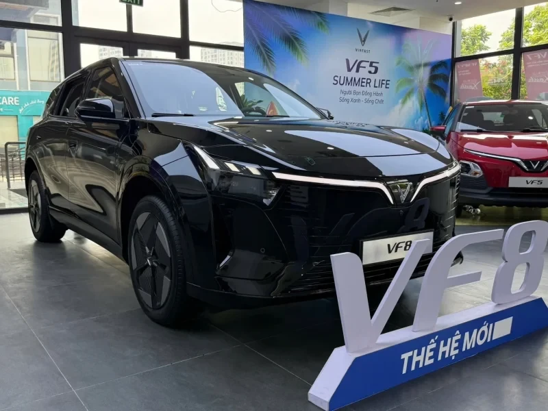 Doanh số SUV hạng D tháng 9/2026
